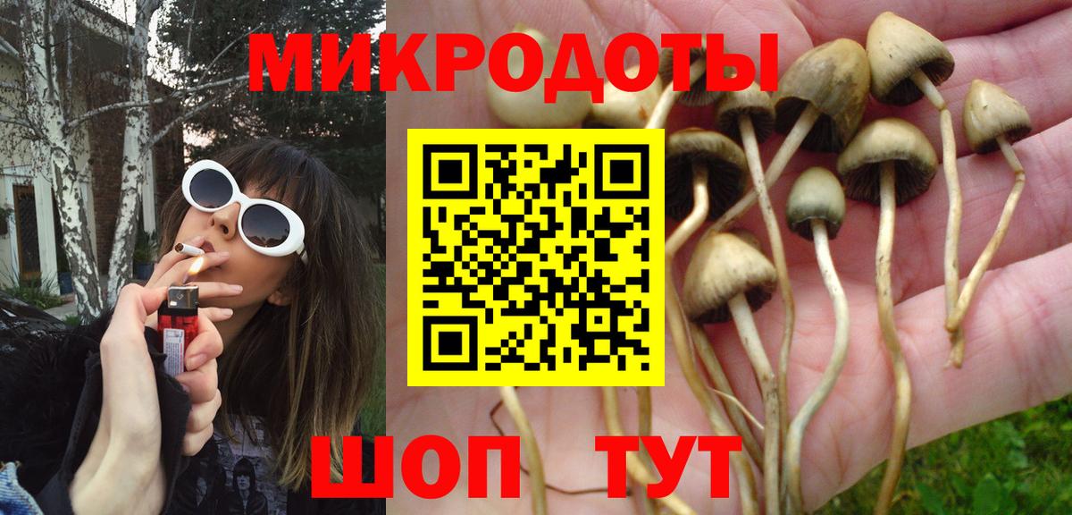 Галлюциногенные грибы Cubensis  Галлюциногенные грибы ЛСД  Вход с VPN  Менделеевск 